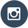 Instagram Icon